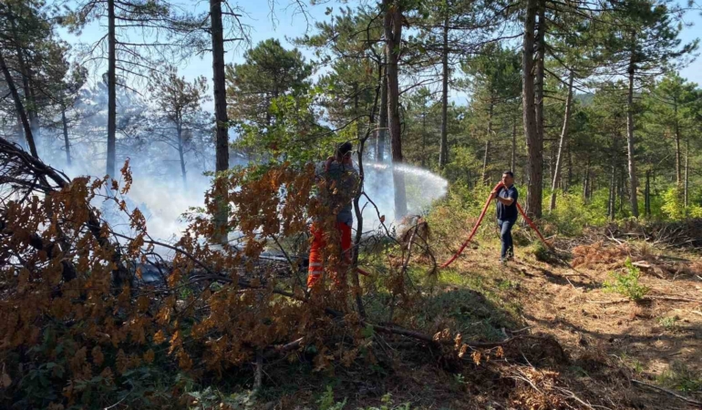 Bilecik’te dün başlayan orman yangınında 4 dekar alan kül oldu