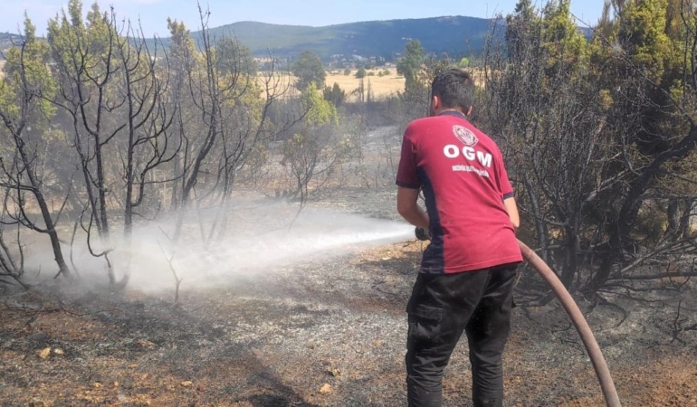 Bozüyük’te çıkan anız yangını ormanlık alana sıçramadan söndürüldü