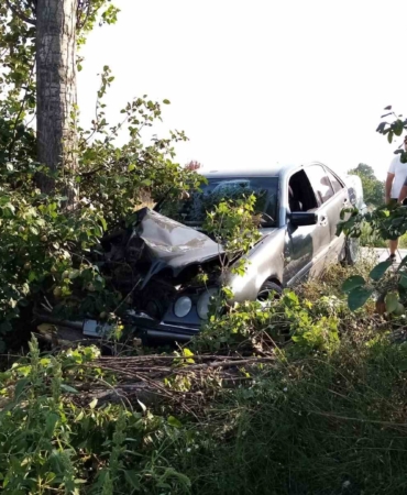 Bursa’da otomobil ağaçlara çarptı: 2 yaralı