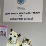 Büyükada Rehabilitasyon Merkezi’nde ’hayvanlara bakılmıyor’ iddiası