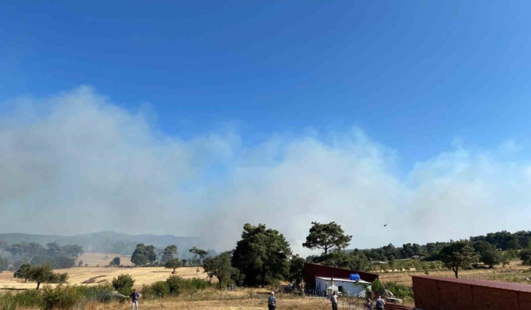 Çanakkale’de orman yangını: Havadan ve karadan müdahale ediliyor