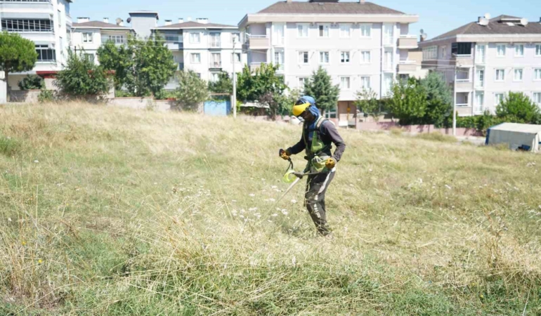Çayırova’da yabani ot temizliği sürüyor