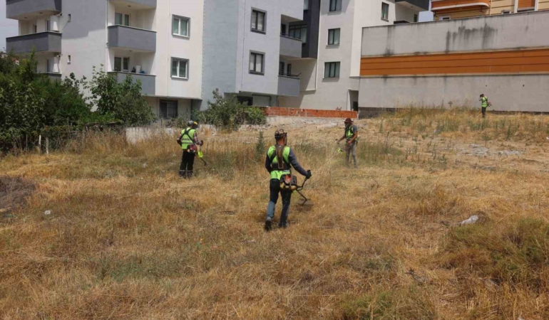 Çayırova’da yabani otlar temizleniyor