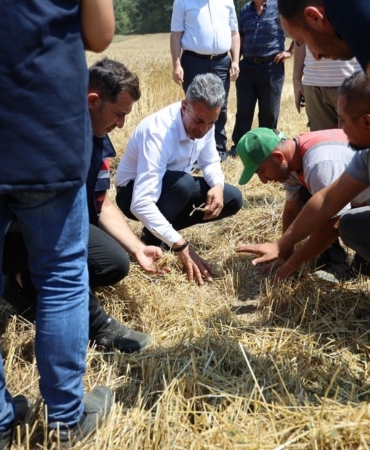 Çiftçilerle biçerdöver hasadına katıldı