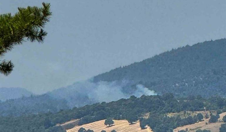 Dursunbey’de arazide çıkan yangın ormana sıçradı