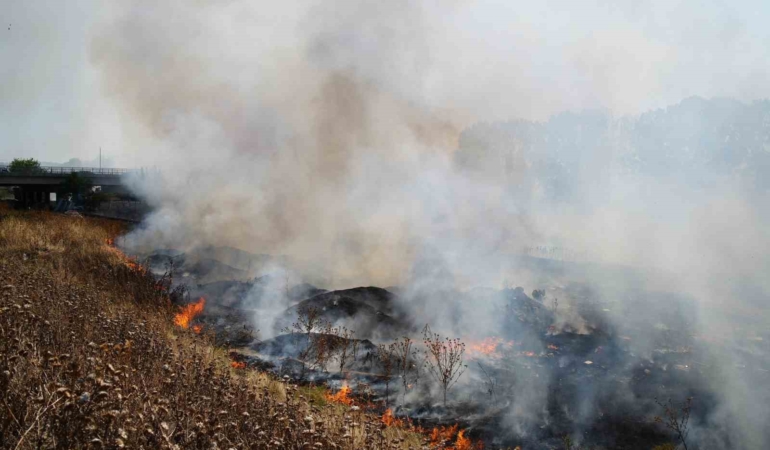 Edirne’de anız yangını mahalleliye büyük korku yaşattı
