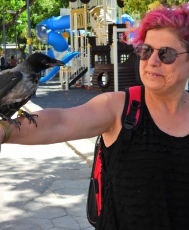 Erdek’e kargasıyla gelen tatilci ilgi odağı oldu