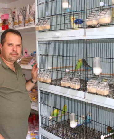 Evinde muhabbet kuşu besleyenler dikkat