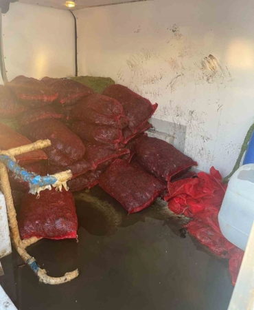 İstanbul Fatih’te 1 ton kaçak midye ele geçirildi