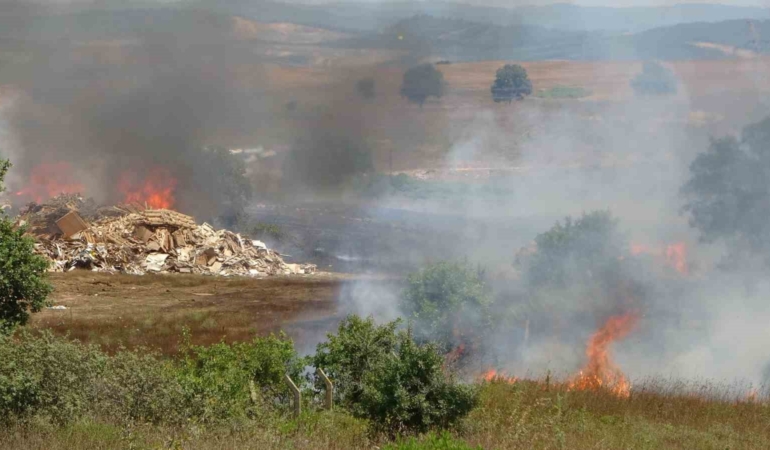 İstanbul - Kocaeli sınırında otluk alanda yangın