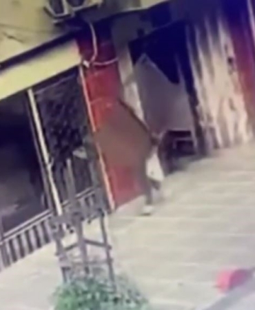 İstanbul’da ilginç hırsızlık kamerada: Apartman kapısını söküp çaldı