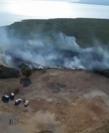 İznik Gölü’nde sazlık yangını