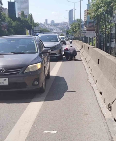 Kadıköy D-100 karayolunda yavru kediyi kurtaran duyarlı vatandaş kamerada