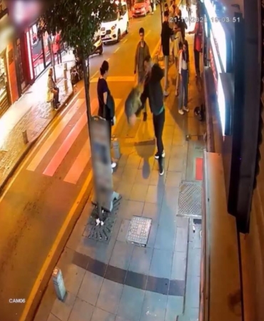 Kağıthane’de köpeklere saldıran “Gri Aslan” lakaplı kedi kamerada: Esnafı canından bezdirdi