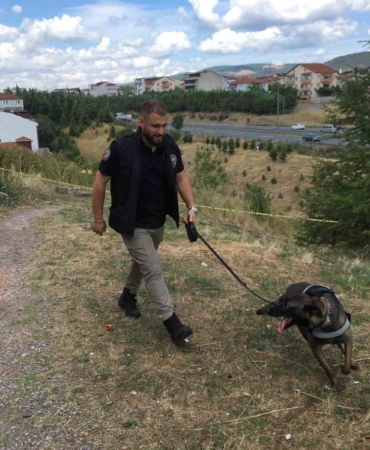Kayıp kadın aranırken çürümüş ceset bulundu