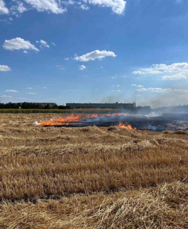 Kırklareli’nde 100 dönüm arazi küle döndü