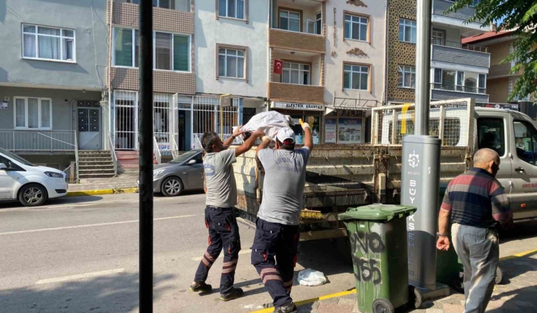 Körfez’de hummalı temizlik