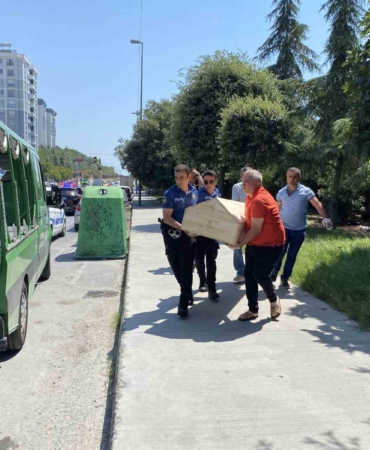 Küçükçekmece’de ağaçlık alanda ceset bulundu