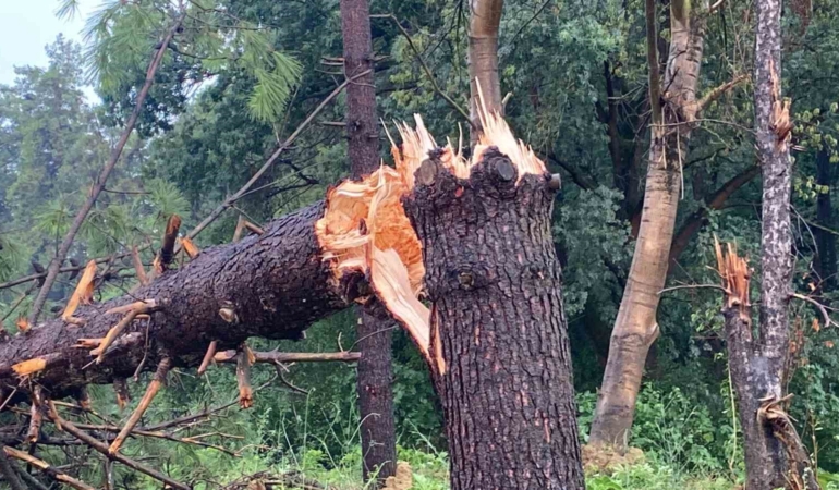 Nemin bunalttığı Kocaeli’de sağanak etkili oldu