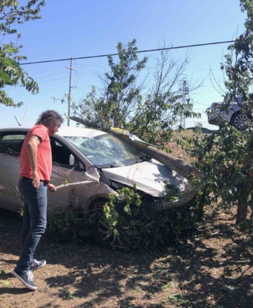 Önce direğe çarptı, sonra bağ evinin bahçesine daldı