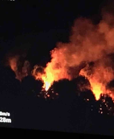 Ormanlık alanda çıkan yangın ekipleri seferber etti