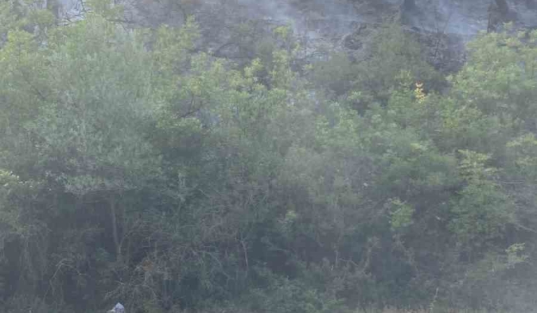 Osmaneli’de çıkan orman yangını büyümeden söndürüldü