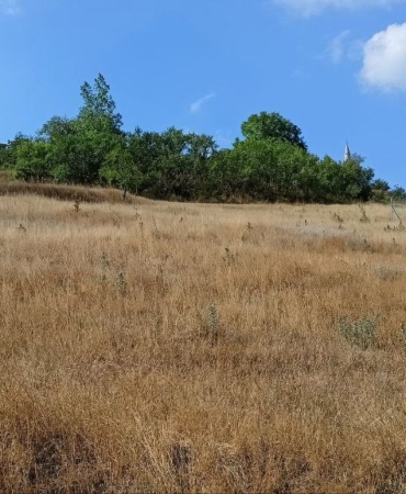 (Özel) Atıl haldeki verimli arazileri ekip ekonomiye kazandıracaklar