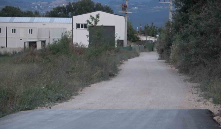 (Özel) Bir köpek dehşeti de Bursa’dan...