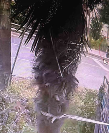 Sakarya’da feci kaza: Otomobil yaya geçidinde anne ve iki çocuğuna çarptı