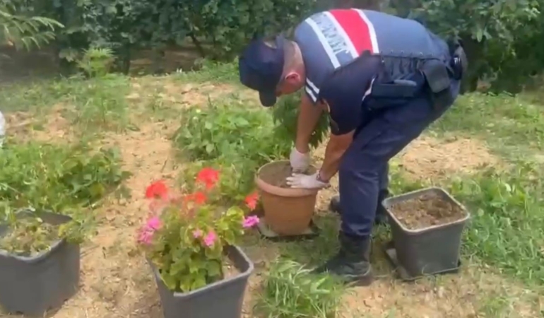 Sakarya’da uyuşturucu operasyonları: 21 gözaltı