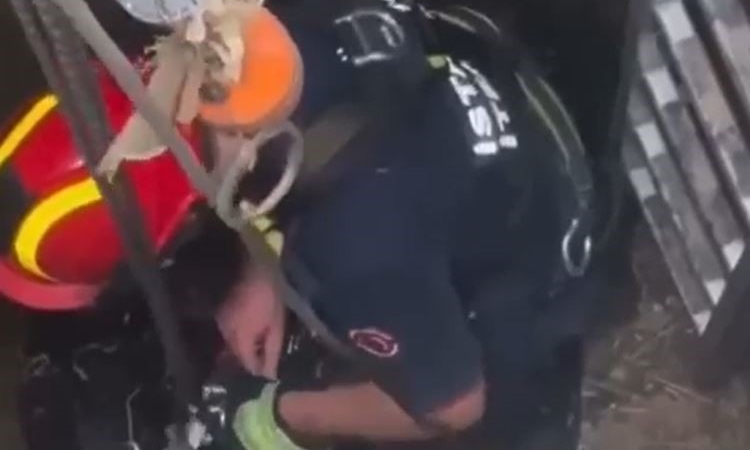 Şantiyede kuyuya düşen keçi itfaiyenin operasyonuyla kurtarıldı