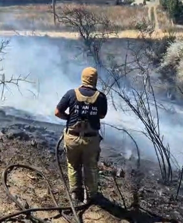 Silivri’de otluk alanda yangın çıktı, yangını söndürmeye çalışan itfaiyeciler arı kovanları için seferber oldu
