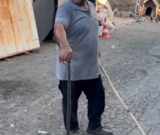 Sultangazi’de eve girmeye çalışan yılanı kedi engelledi