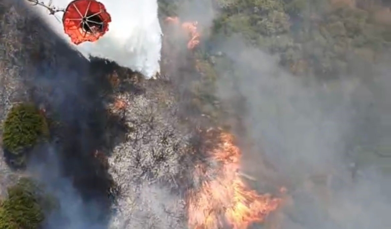 Susurluk’ta araç kazası orman yangınına dönüştü