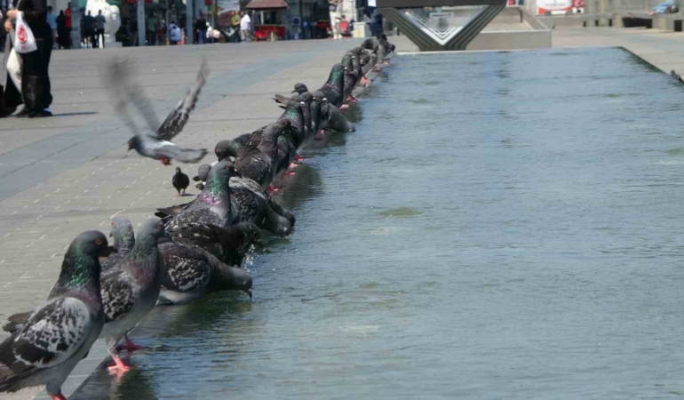 Taksim’de vatandaşların sıcak ile imtihanı
