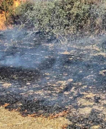 Tekirdağ’da anız yangını