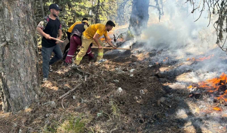 Uludağ’ın eteklerinde korkutan yangın
