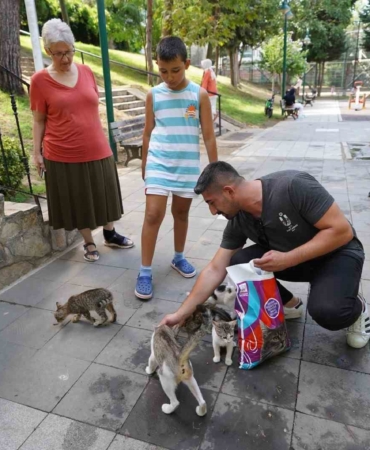 Üsküdar Belediyesinden sokak hayvanlarına her ay 2 ton mama yardımı