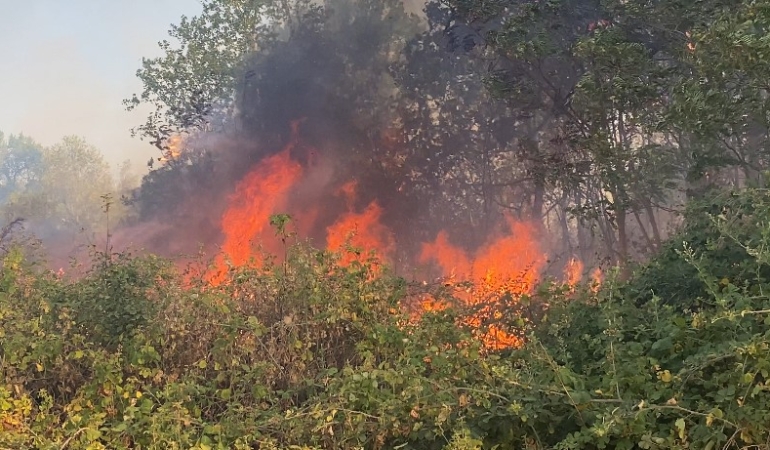 Uzunköprü’de  katı atık depolama tesisinde başlayan yangın ormanlık alana sıçradı