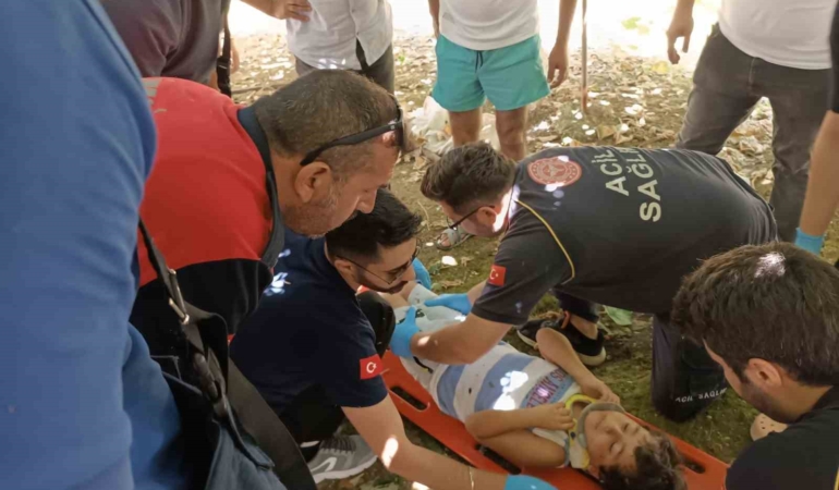 Yalova’da 5’inci kattan düşen çocuğu kivi asması kurtardı