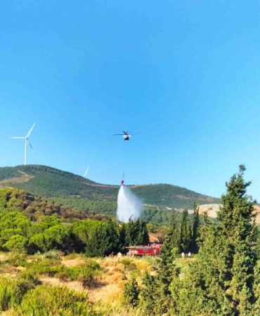 Yalova’da iki noktada çıkan yangınlar kontrol altına alındı