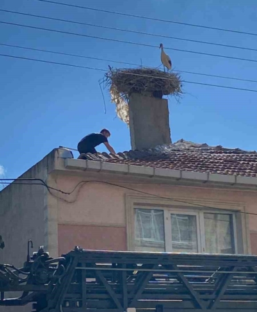 Yaralı leyleği itfaiye kurtardı