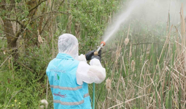 Yaz aylarında ilaçlama seferberliği
