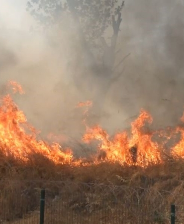 Zeytinburnu’nda otluk alandan alevler yükseldi
