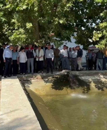 10 milyon yavru sazan suya bırakıldı