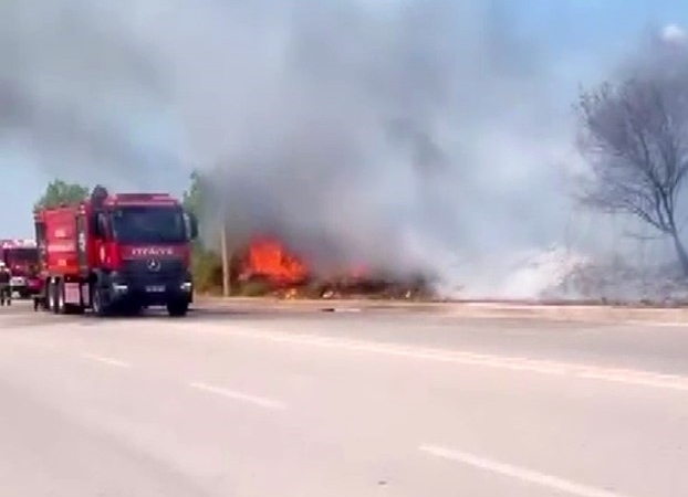 Ağaçlık alanda çıkan yangın itfaiye tarafından söndürüldü