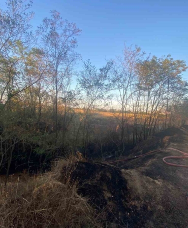 Ağaçlık alanda çıkan yangın söndürüldü