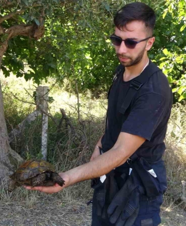 Ağaçlık alanda çıkan yangında itfaiye eri kaplumbağayı yanmaktan böyle kurtardı
