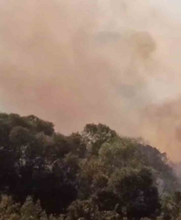 Anızdan ormana ve ayçiçeği tarlasına sıçrayan yangın söndürüldü