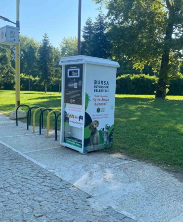 Atıklar, sokak hayvanları için mamaya dönüşüyor